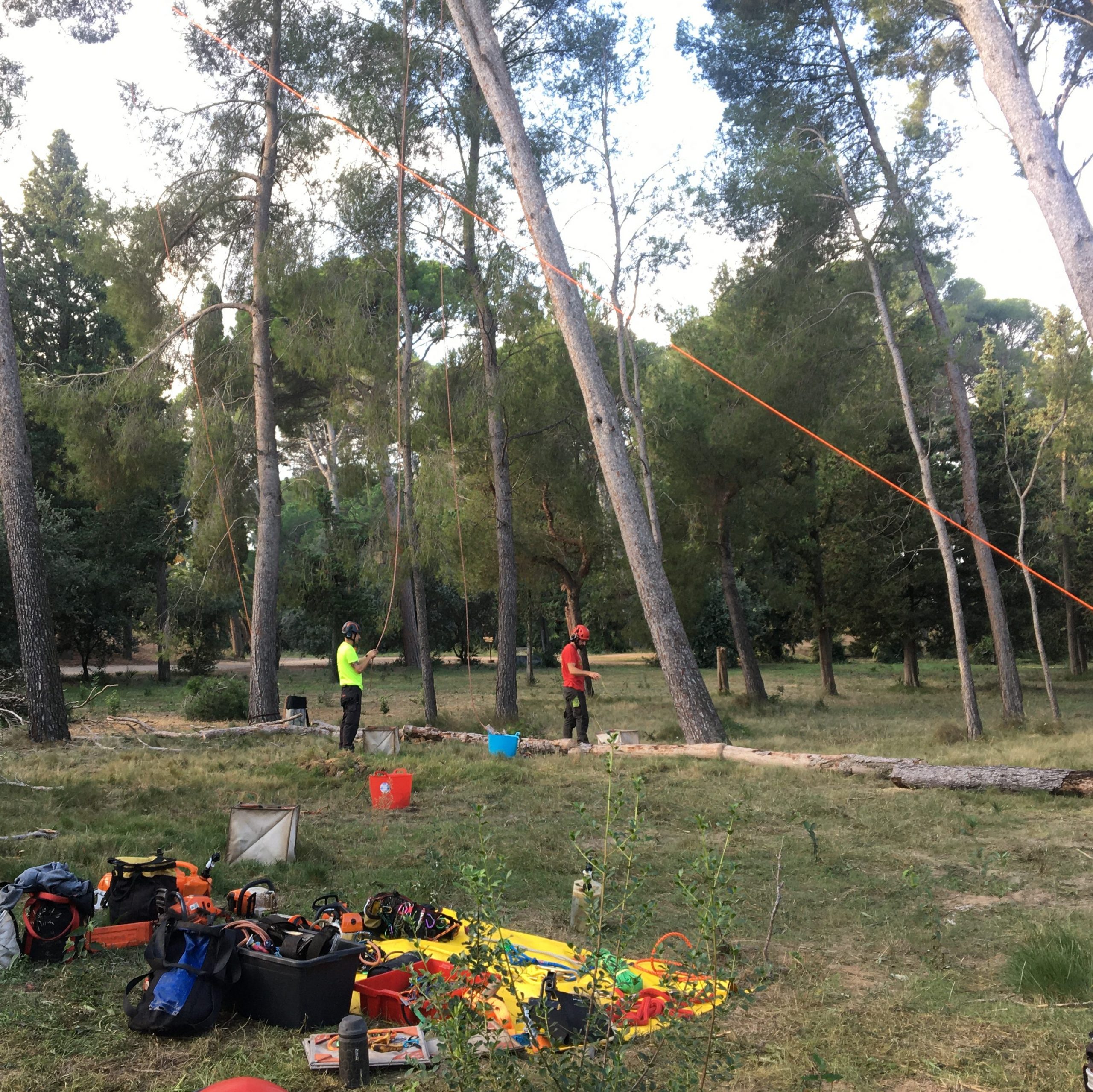 tala en Tarragona