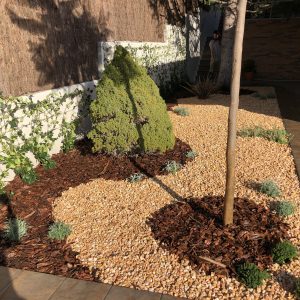 Jardín de bajo mantenimiento