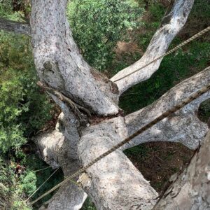 Càmping gavà, seguiment defectes estructurals i planificació del risc, anàlisi visual