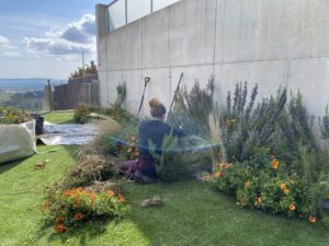 plantació jardins Matadepera