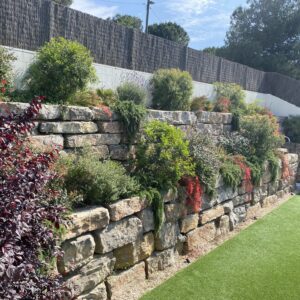 plantació de jardins