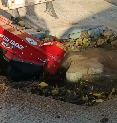 eliminación de tocon