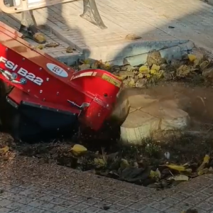 eliminación de tocon