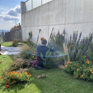 plantació jardins Matadepera