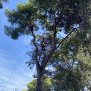 Poda de seguretat