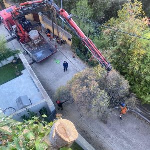 Tala amb grua vallvidrera