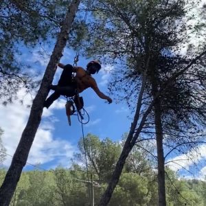 Tala pins i poda branques hípica